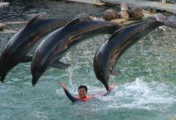 城崎マリンワールド