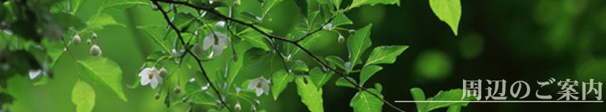 周辺のご案内